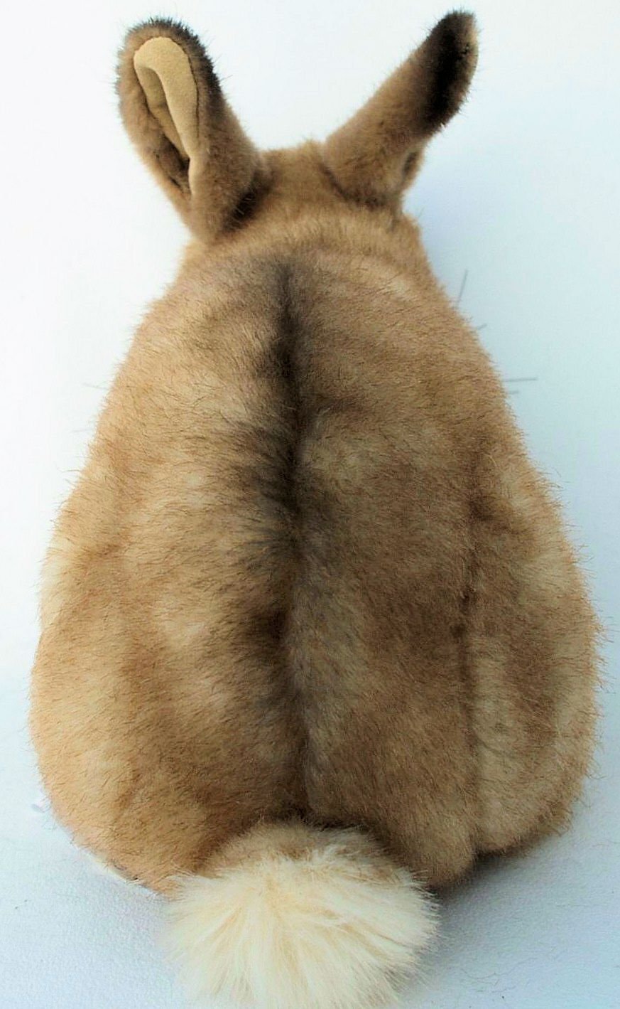 Amazon.co.jp: うさぎ ベージュ KOSEN(ケーセン社) 24cm 